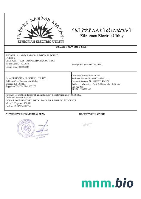 Ethiopian electric rachunek za usługi komunalne w formatach wordand PDF